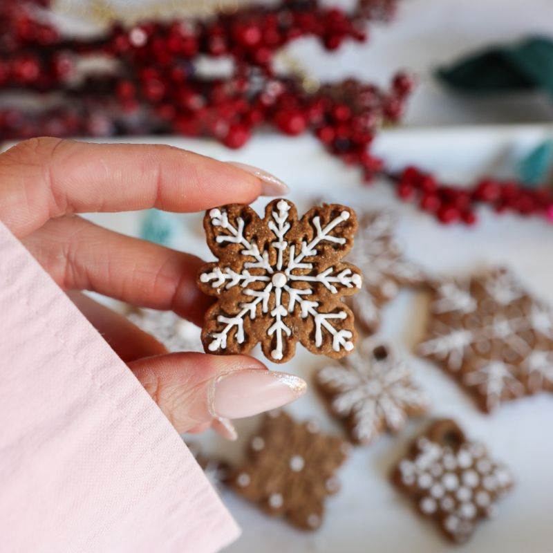 Scandi Gingerbread Snowflake Christmas Biscuit Baking and Decorating Kit