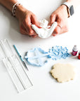 Blooming Rose Biscuit Baking and Decorating Starter Kit