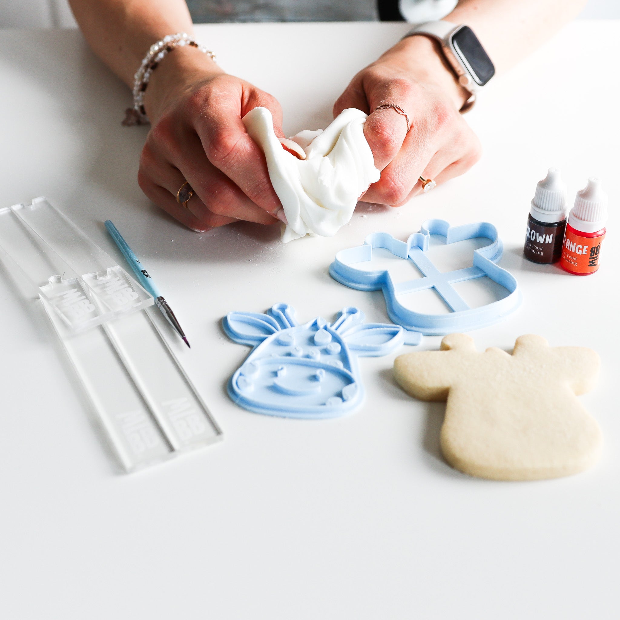 Giraffe Safari Biscuit Baking and Decorating Starter Kit