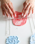 Blooming Rose Biscuit Baking and Decorating Starter Kit