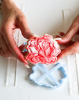 Blooming Rose Biscuit Baking and Decorating Starter Kit