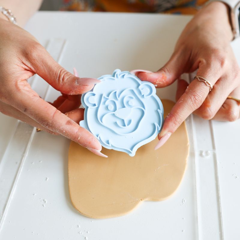 Jungle Munch Biscuit Baking and Decorating Kit