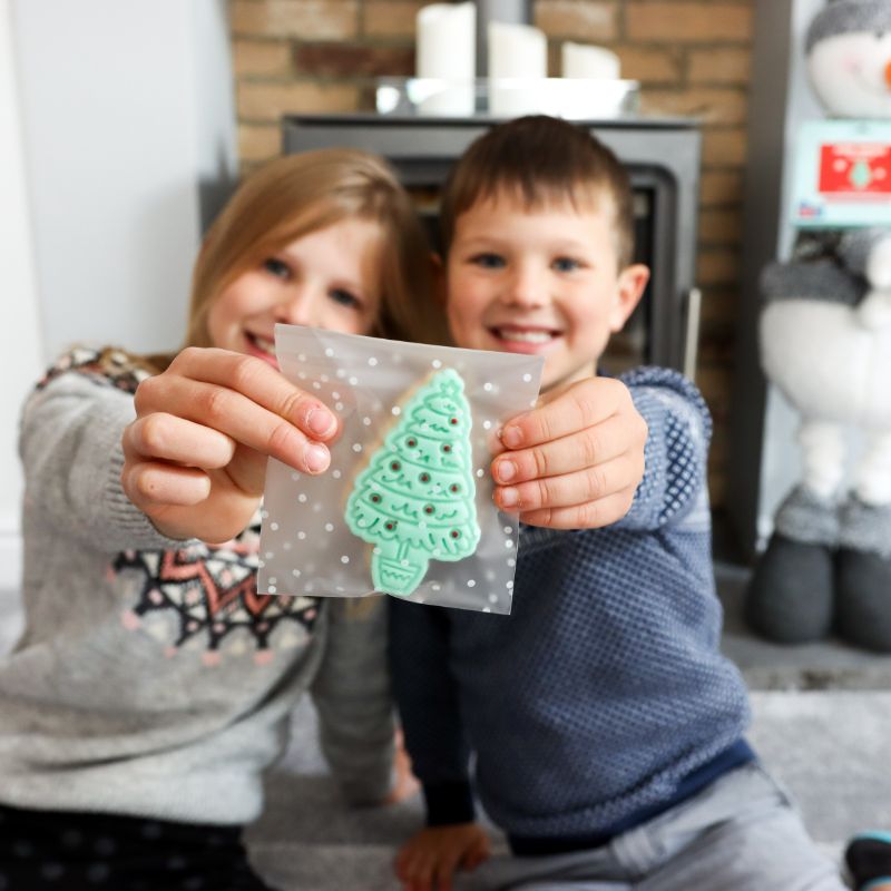 Merry Munchies Biscuit Baking and Decorating Starter Kit