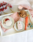 Cookies for Santa Biscuit Baking and Decorating Kit