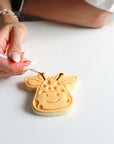 Giraffe Safari Biscuit Baking and Decorating Starter Kit